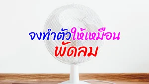 จงทำตัวให้เหมือนพัดลม